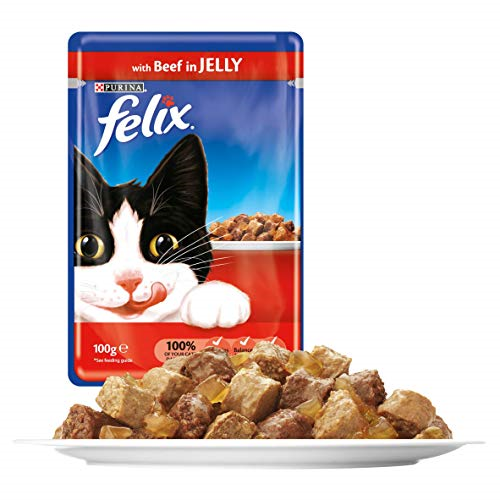 FELIX in Jelly Wet Cat Food Pouch - Beef 100g